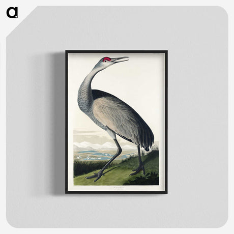 1-45_John-James-Audubon_blk-crop