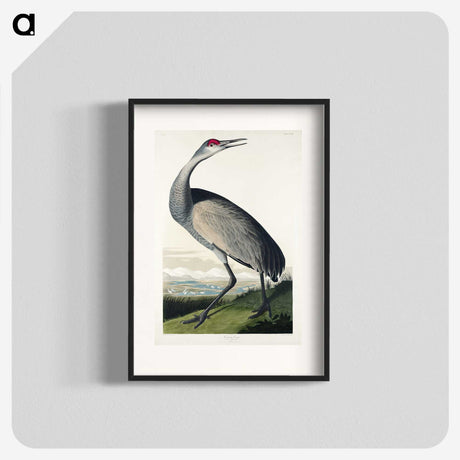 1-45_John-James-Audubon_blk