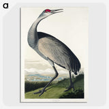 1-45_John-James-Audubon_picture-crop