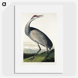 1-45_John-James-Audubon_picture