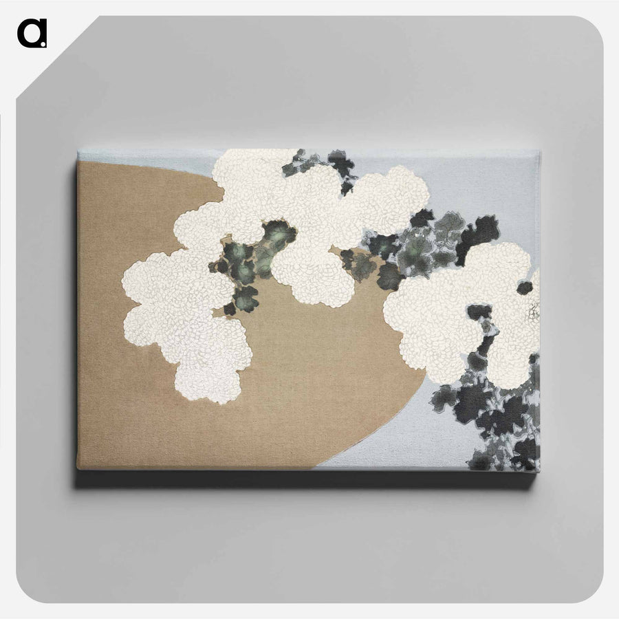 Blossom from Momoyogusa–Flowers of a Hundred Generations - 神坂 雪佳