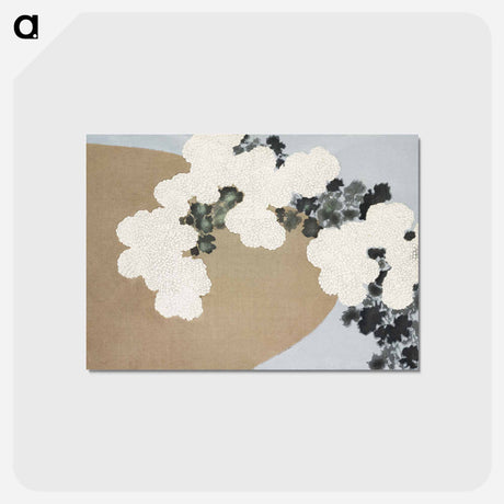 アートポストカード-Blossom from Momoyogusa–Flowers of a Hundred Generations - 神坂 雪佳 Postcard.