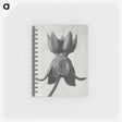 1-45_Karl-Blossfeldt_memo