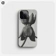 1-45_Karl-Blossfeldt_phone