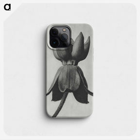 1-45_Karl-Blossfeldt_phone