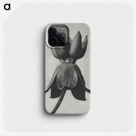 1-45_Karl-Blossfeldt_phone