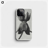 Asclepias syriaca - カール ブロスフェルト Phone Case.
