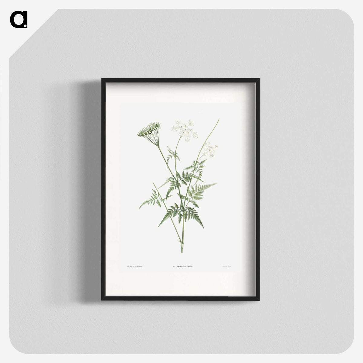 1-45_La-Botanique_blk
