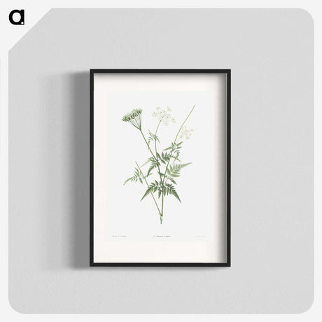 1-45_La-Botanique_blk