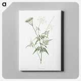 1-45_La-Botanique_canvas
