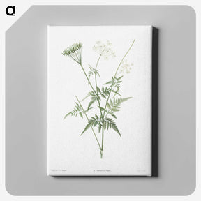 1-45_La-Botanique_canvas