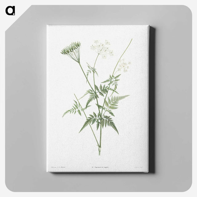 1-45_La-Botanique_canvas