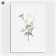 1-45_La-Botanique_picture