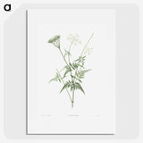 1-45_La-Botanique_picture