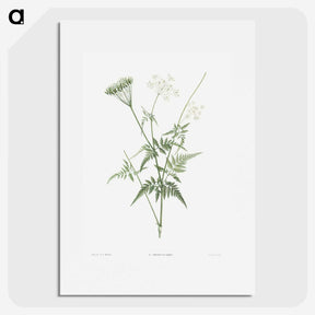 1-45_La-Botanique_picture