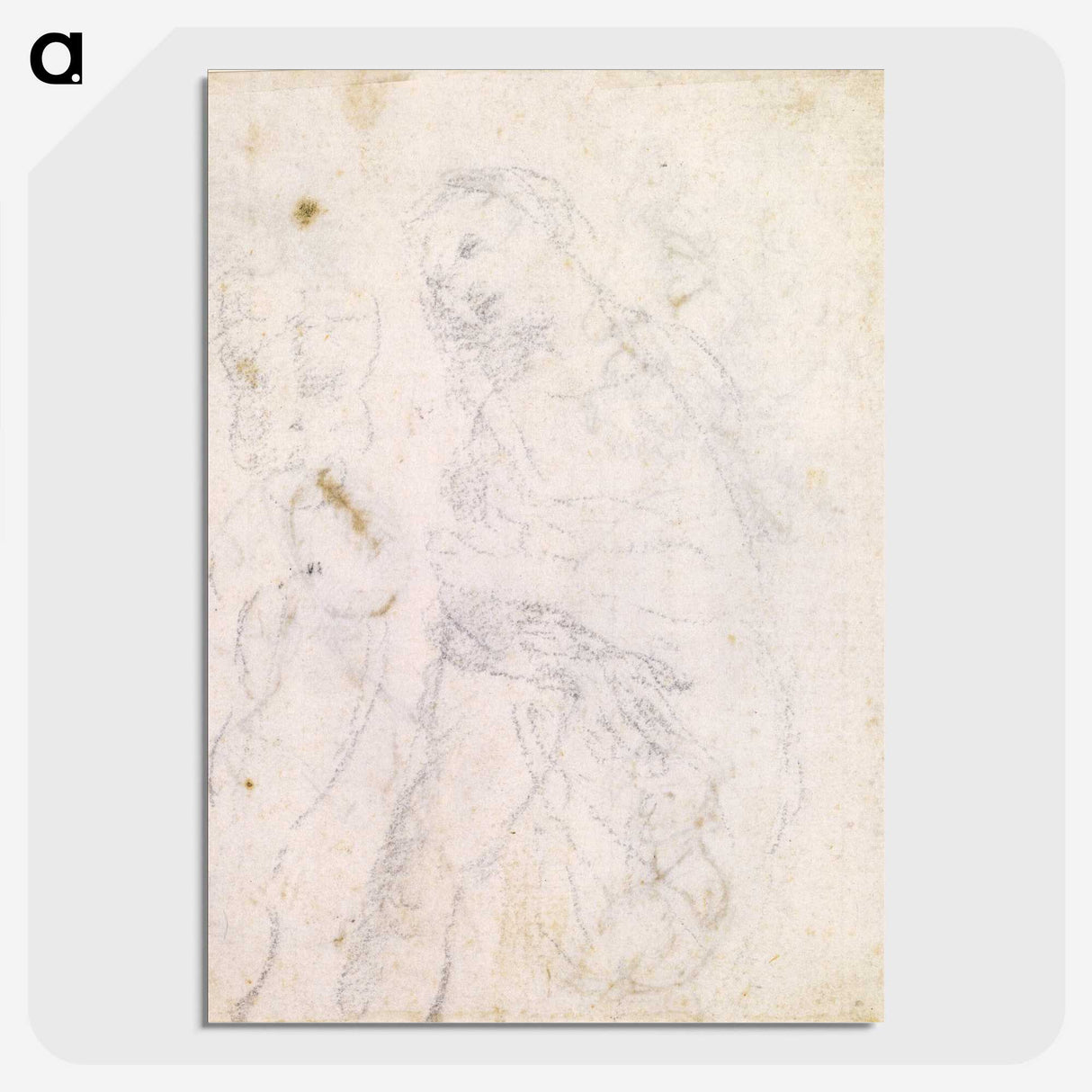1-45_Leonardo-Da-Vinci_picture-crop