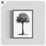 1-45_Les-Palmiers-Histoire-Iconographique_blk-crop