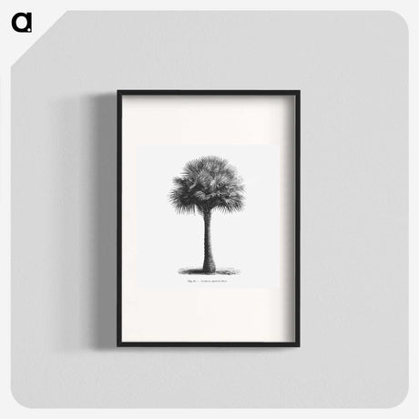 1-45_Les-Palmiers-Histoire-Iconographique_blk
