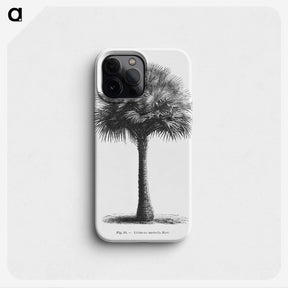 1-45_Les-Palmiers-Histoire-Iconographique_phone