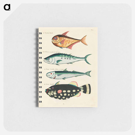 アートメモ帳-Moluccan Fishes
 - ルイ ルナール Memo.