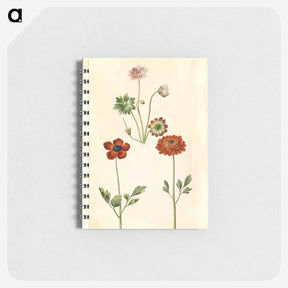 アートメモ帳-Geranium and Buttercup
 - マリア ジビーラ メーリアン Memo.