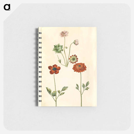 アートメモ帳-Geranium and Buttercup
 - マリア ジビーラ メーリアン Memo.