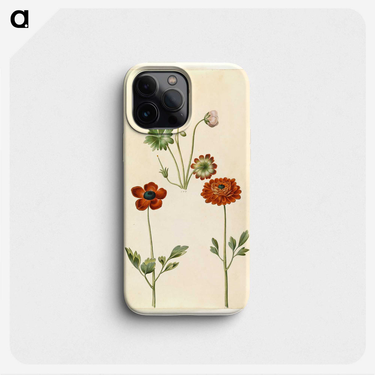 1-45_Maria-Sibylla-Merian_phone
