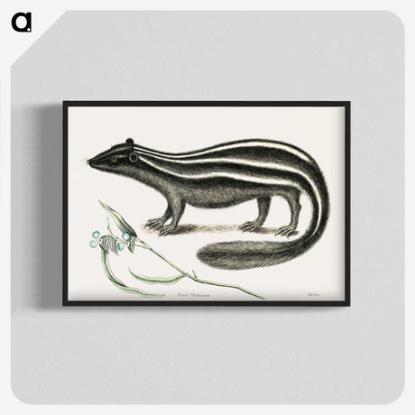 1-45_Mark-Catesby_blk-crop