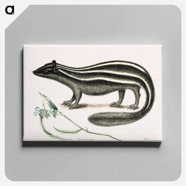 アートパネル-Polecat
 - マーク ケイツビー Canvas.