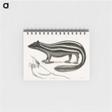 1-45_Mark-Catesby_memo