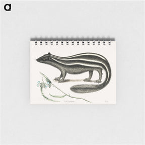 1-45_Mark-Catesby_memo