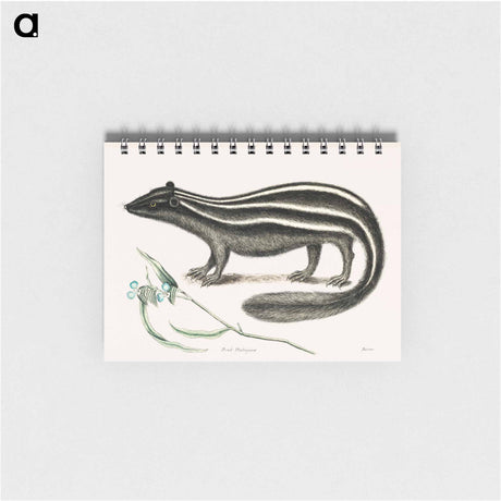 アートメモ帳-Polecat
 - マーク ケイツビー Memo.