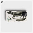 1-45_Mark-Catesby_phone