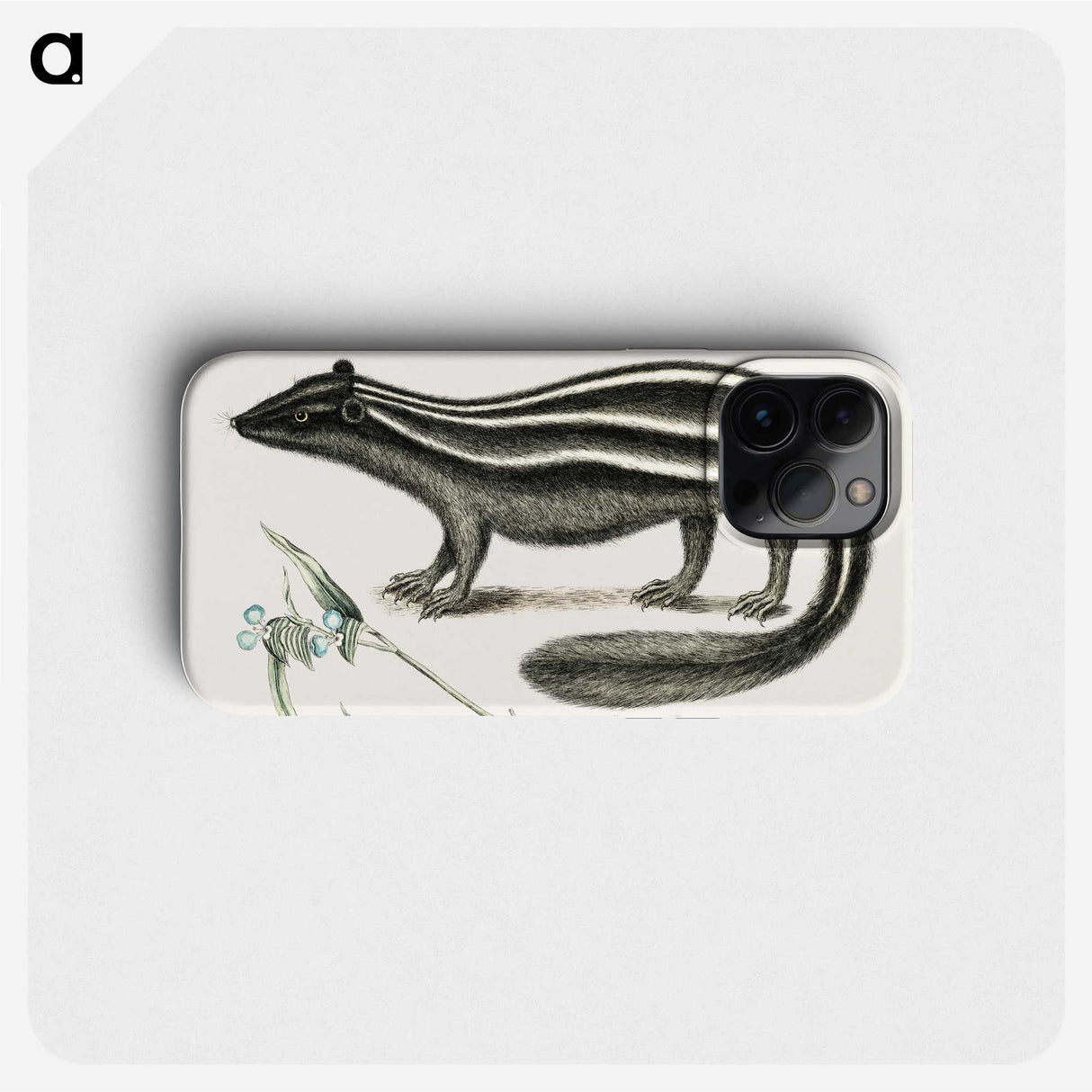 1-45_Mark-Catesby_phone
