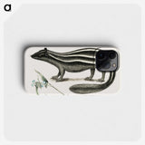 1-45_Mark-Catesby_phone