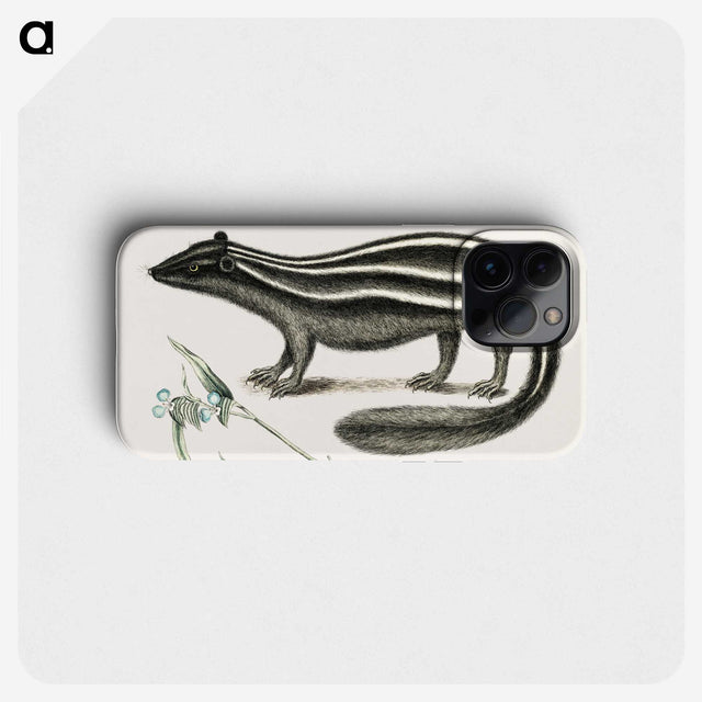 1-45_Mark-Catesby_phone
