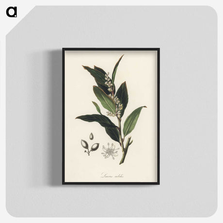 1-45_Medical-Botany_blk-crop