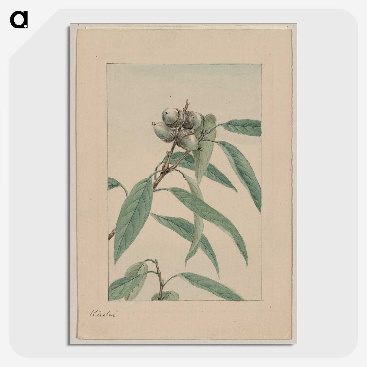 1-45_Megata-Morikaga_picture-crop