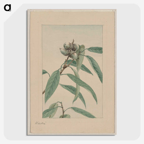 1-45_Megata-Morikaga_picture-crop