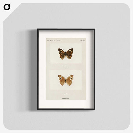 1-45_Moths-and-Butterflies-of-the-United-States_blk