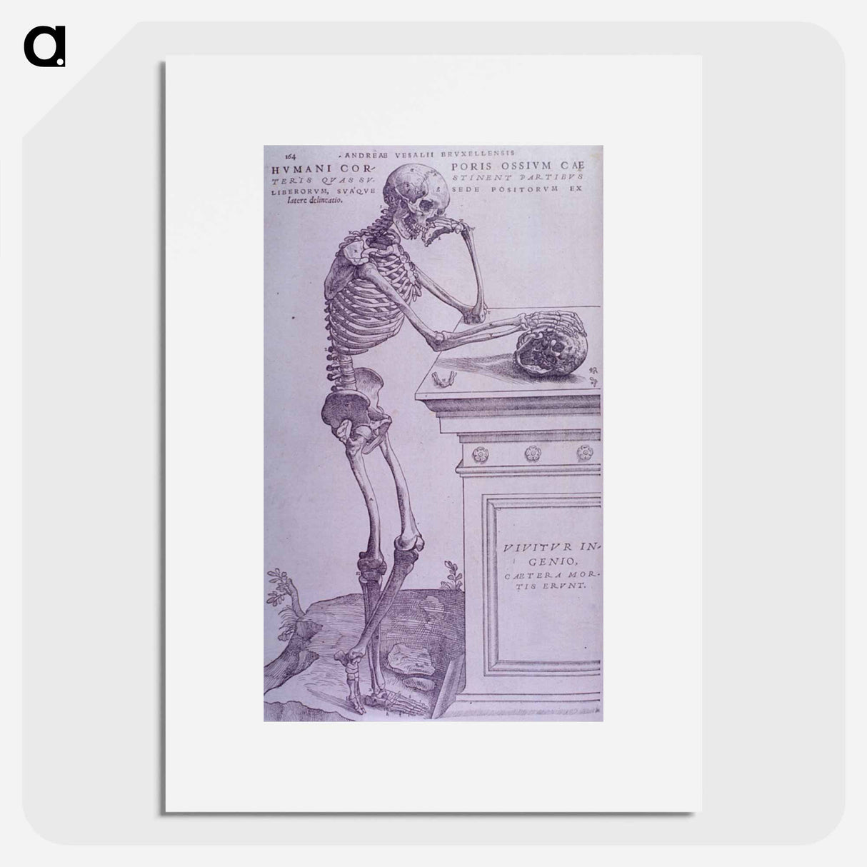 アートポスター-Bone Plate Depiction
 - 国立医学図書館 Poster.