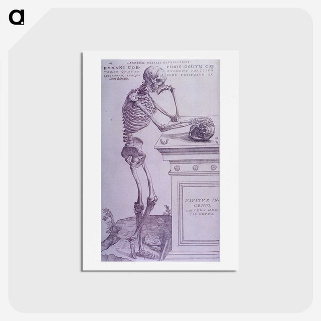 1-45_National-Library-of-Medicine_hagaki