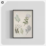 1-45_Native-Flowering-Plants-of-New-Zealand_blk-crop