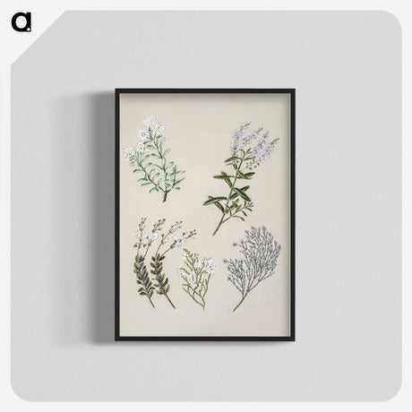 1-45_Native-Flowering-Plants-of-New-Zealand_blk-crop