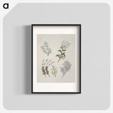 1-45_Native-Flowering-Plants-of-New-Zealand_blk