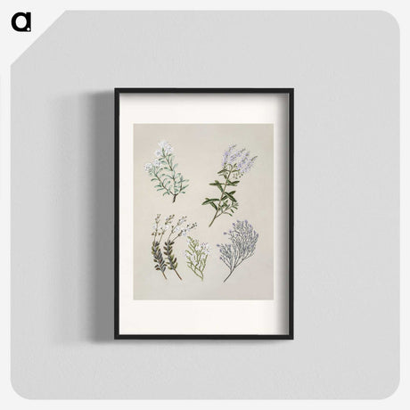 1-45_Native-Flowering-Plants-of-New-Zealand_blk