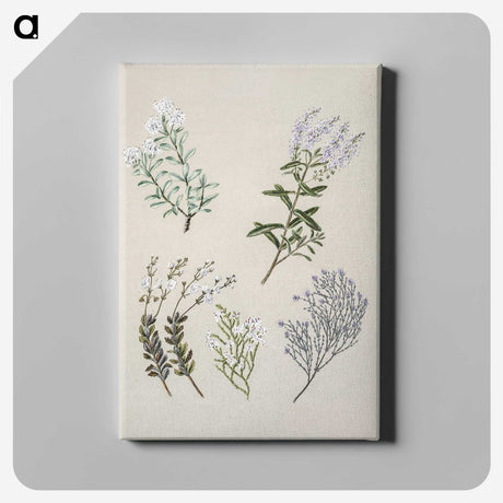 1-45_Native-Flowering-Plants-of-New-Zealand_canvas