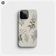 1-45_Native-Flowering-Plants-of-New-Zealand_phone