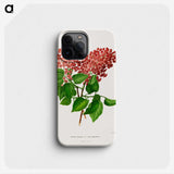 1-45_Nederlandsche-Flora-en-Pomona_phone