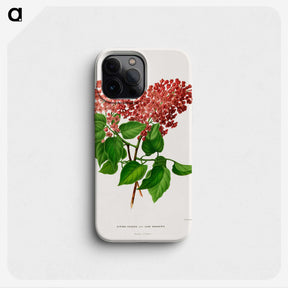 1-45_Nederlandsche-Flora-en-Pomona_phone
